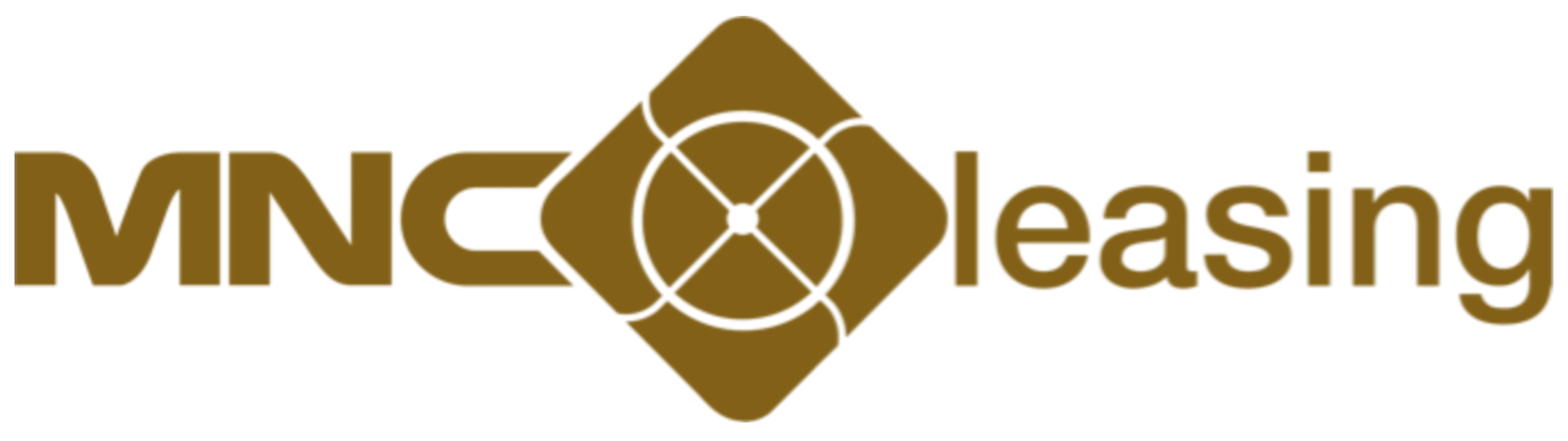 Customer Logo